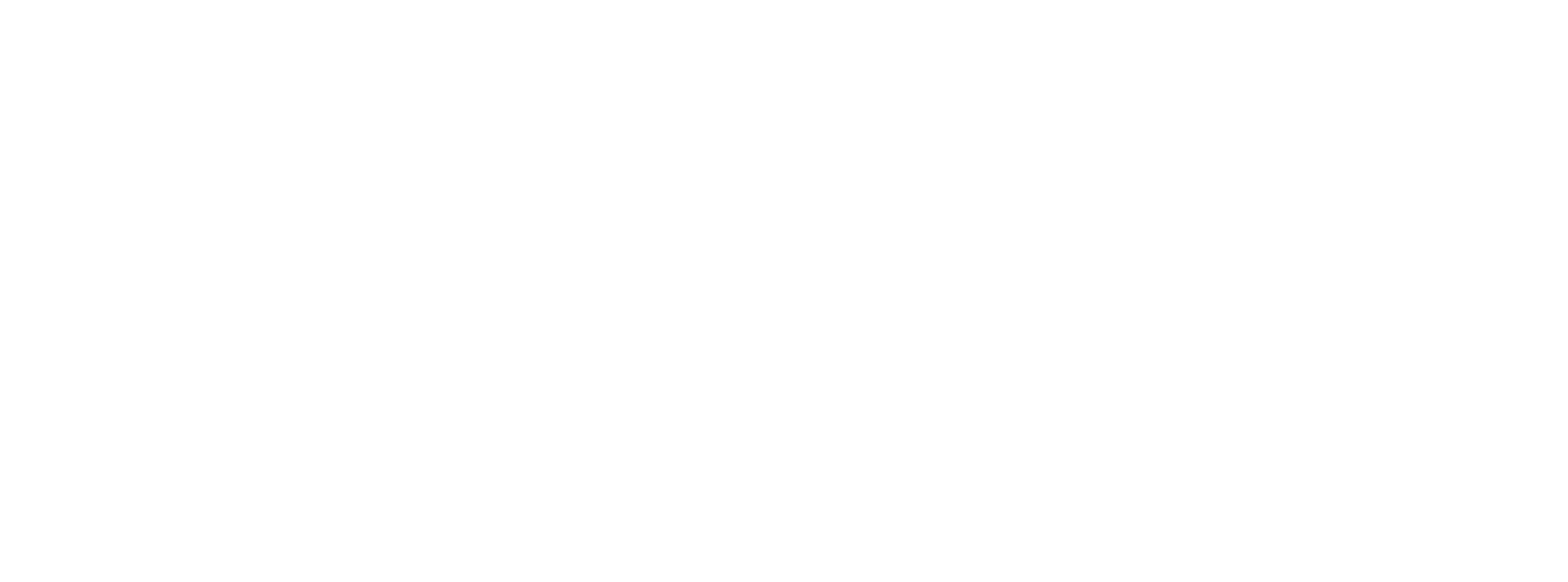Passepartout Partner Expert